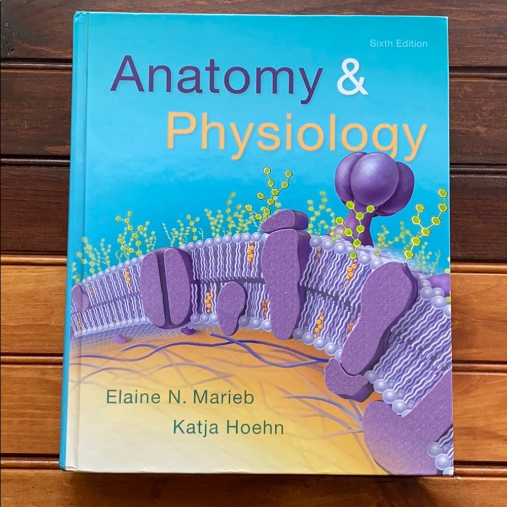 Anatomy & Physiology Textbook 6th edition